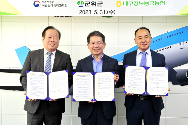 경북 군위군은 농업진흥청 국립원예특작과학원, 대구경북능금농협과 신품종 여름사과 