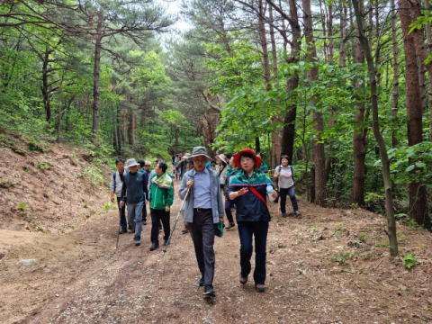 한반도 횡단 숲길 ‘동서트레일’, 울진 시범구간 한티재서 개통