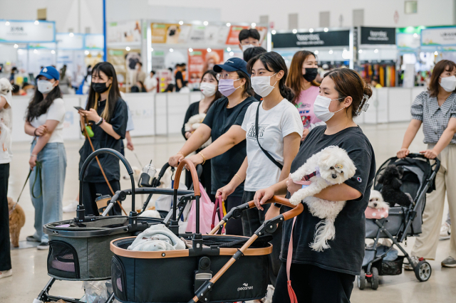 가슴으로 낳아 지갑으로 모신다?…'펫플레이션' 심화