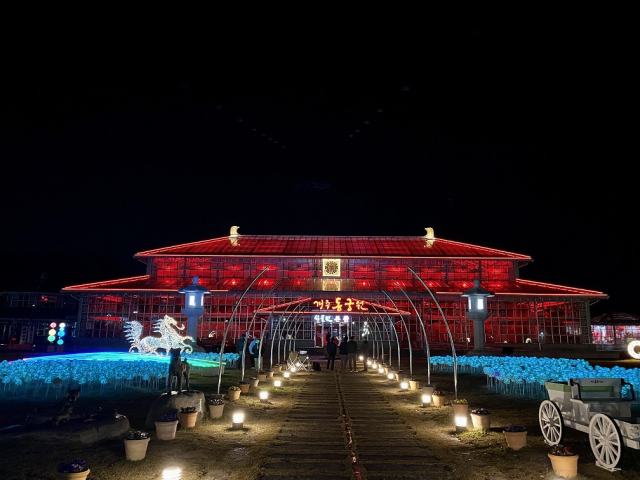 조명 밝힌 경주 동궁원 전경. 경주시 제공