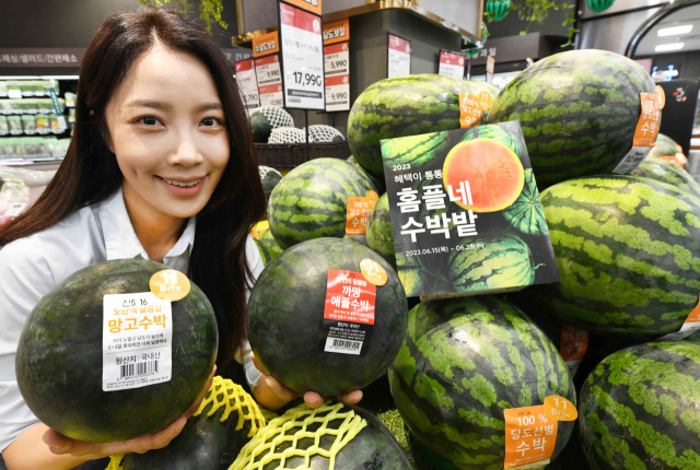 홈플러스가 온라인에서 오는 15일부터 28일까지 혜택이 통통