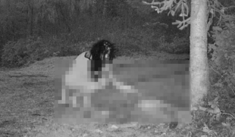 [‘헐’ 글로벌 황당사건] <16>한밤중 나체로 사슴 사체 찾은 여성들, 왜?
