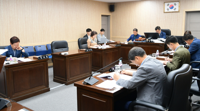 고령군의회 행정사무감사특별위원회 감사 장면. 고령군의회 제공