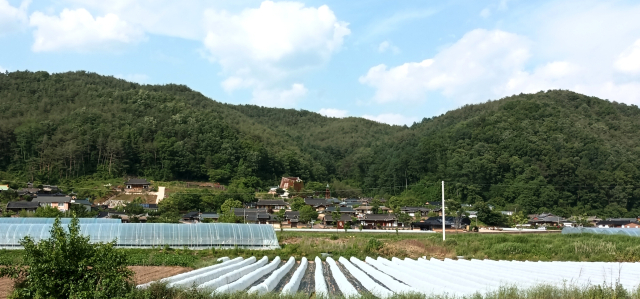 주실마을은 호은(壺隱) 조전이 이곳에 터를 잡아 세거하기 시작한 한양 조씨 집성촌이다.
