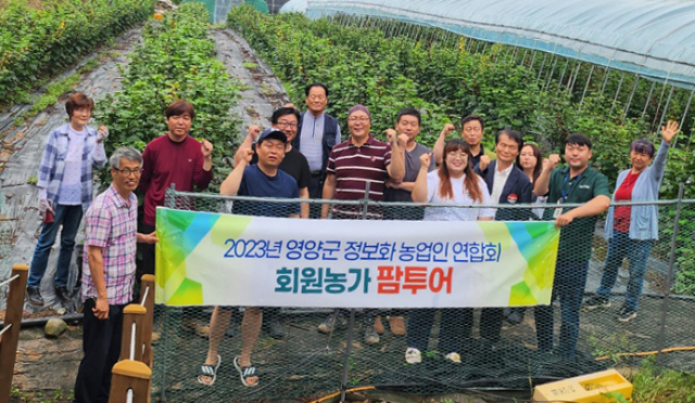 경북 영양군 청기면 한 산딸기 농장에서 진행된 팜투어 행사에서 지역 농민들이 만나 서로의 유통 방식과 재배 기술 등을 공유하는 시간을 가지고 있다. 영양군 제공