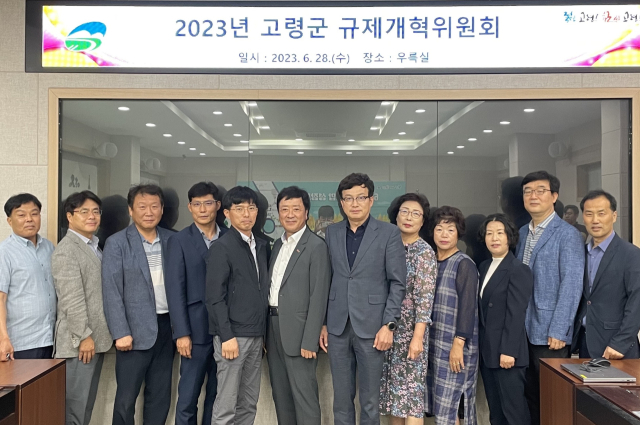 고령군규제개혁위원회. 고령군 제공