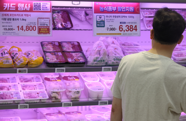 대형마트의 닭고기 판매대 모습. 오는 10일 말복을 앞두고 수박, 닭고기 등 여름철 대표 식품들의 가격이 뛰면서 보양식을 제대로 챙겨먹기가 부담으로 다가오고 있다. 연합뉴스