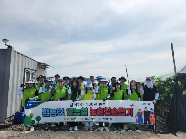경북농협(본부장 윤성훈)과 영천시 농협 임직원 등 20여 명은 3일 영농철 일손이 부족한 영천시 화남면 소재 포도 농가를 찾아 농촌일손돕기를 실시했다