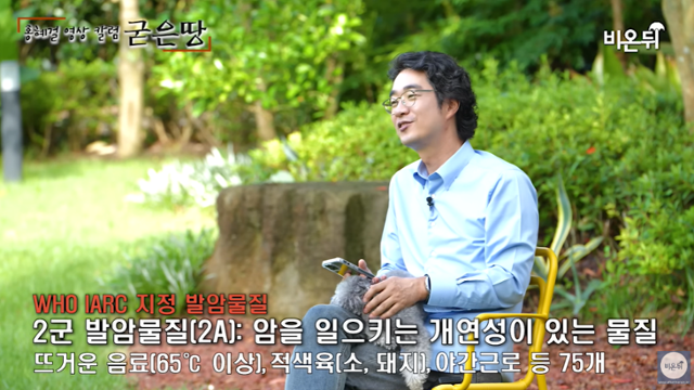 의사 출신 방송인 홍혜걸 의학박사가 1일 자신의 유튜부에서 아스파탐과 발암물질에 대한 설명을 하고 있다. 유튜브 캡처