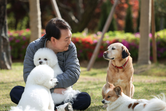 대통령실은 6일 서울 용산 대통령 집무실 복도에 윤석열 대통령의 글로벌 외교 활동과 일상의 모습을 담은 총 8장의 사진을 게시했다고 밝혔다. 대통령실