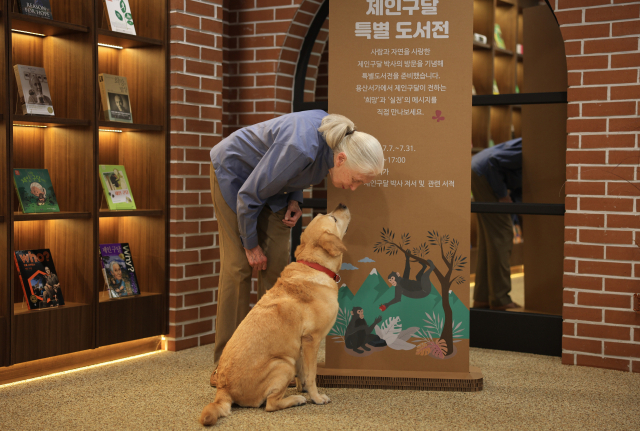 세계적인 영장류학자이자 환경운동가인 제인 구달 박사가 7일 서울 용산어린이정원 내 용산서가에서 윤석열 대통령 부부가 지난해 분양받은 은퇴 안내견 새롬이와 입을 맞추고 있다. 연합뉴스