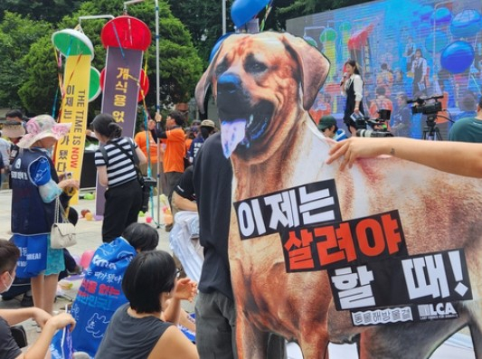 초복(11일)을 사흘 앞두고 서울 도심에서 개 식용 종식을 주장하는 동물보호단체와 이에 반대하는 대한육견협회가 각각 집회를 열어 맞붙었다. 연합뉴스