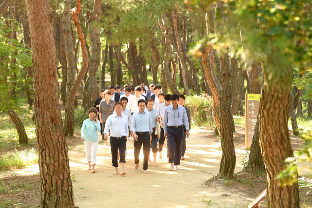 이철우 경북도지사(맨앞 왼쪽 두 번째)가 도청 직원들과 천년숲을 맨발로 걷고 있다. 경북도 제공