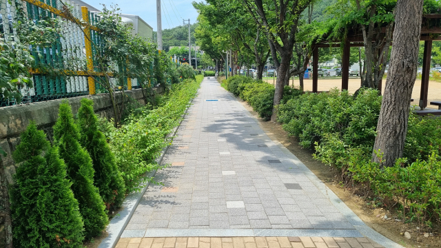 대구시는 올해 학교숲 조성 사업의 일환으로 계성초와 황금초, 송현여고 등 지역 학교 3곳에 학교숲을 조성했다. 송현여고 학교숲. 대구시 제공.