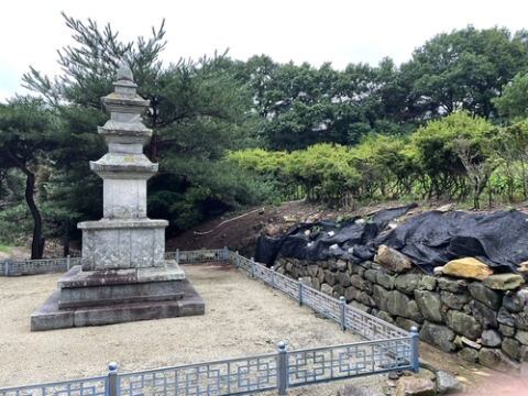 보물 