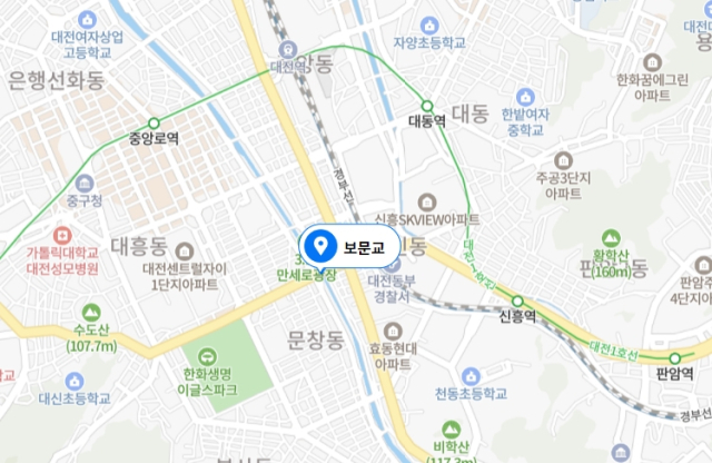 대전 대전천 보문교 위치. 네이버 지도