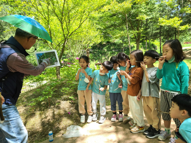 경북 안동강남초등학교 병설유치원 원생들이 경북산림과학박물관을 방문해 숲 해설가와 함께 풀피리를 만들어 불어보는 체험 활동을 진행하고 있다. 경북교육청 제공