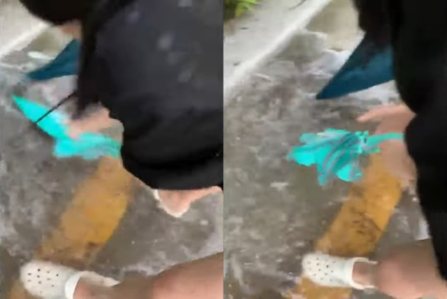창원시 진해구의 한 아파트 앞 침수된 도로를 보고 막힌 하수구를 뚫은 신항중학교 1학년 여학생 4명의 모습이 포착돼 화제를 모으고 있다. MBC