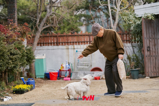 '산책' 스틸컷. tvN 제공