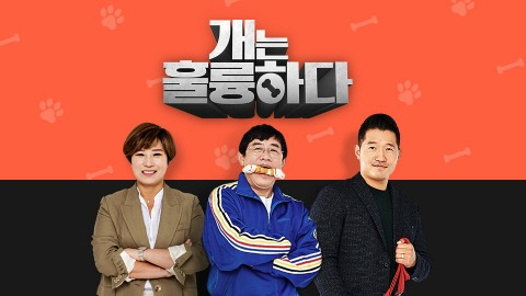 [TV] 비만견 다이어트 클럽의 건강한 생활 습관 