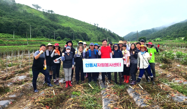 사단법인 안동자원봉사센터 직원들이 침수로 폐허가 된 고추밭을 찾아 봉사활동에 나섰다. 안동시 제공