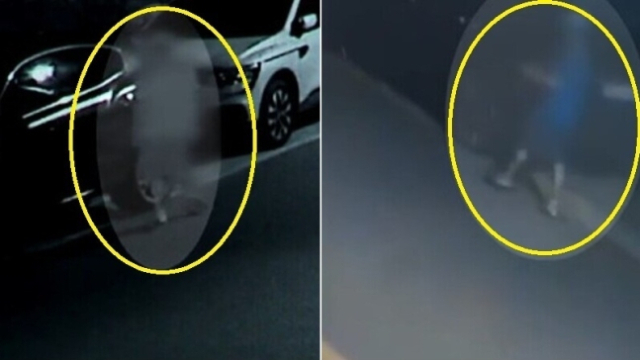 지난 1일 새벽 경기 김포에서 20대 남성이 20㎝ 길이의 흉기를 들고 주택가를 배회하는 모습이 담긴 폐쇄회로(CC)TV 화면. YTN