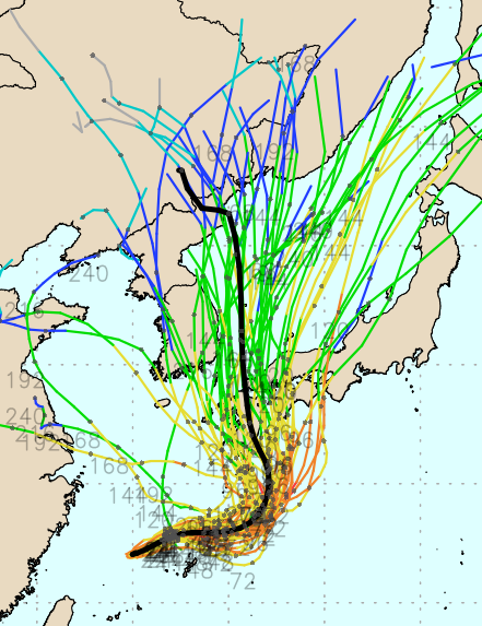 ECMWF Ensemble 모델 6호 태풍 카눈 예상경로. 8월 4일 예상 기준