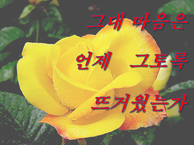 사진 출처. Microsoft PowerPoint 클립아트.