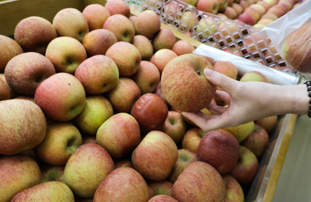 지난해 사과와 배 생산량이 전년보다 줄어 가격이 크게 뛰었다. 서울 서초구 농협 하나로마트 양재점에 과일 판매대 모습. 연합뉴스