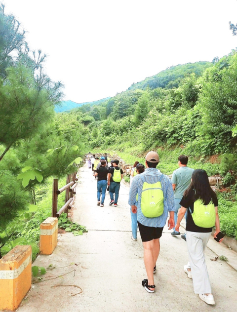 난임부부 산림치유