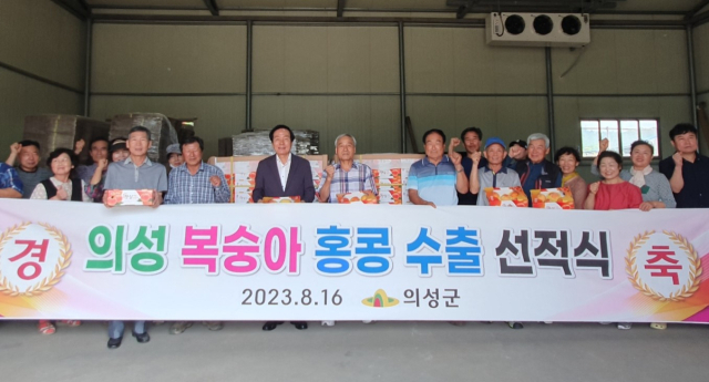 의성 복숭아 홍콩 수출 선적식이 지난 16일 열렸다. 의성군 제공