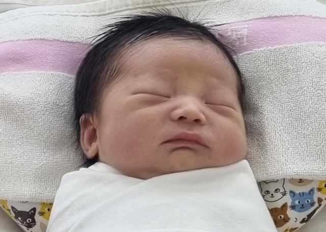 정은미아가