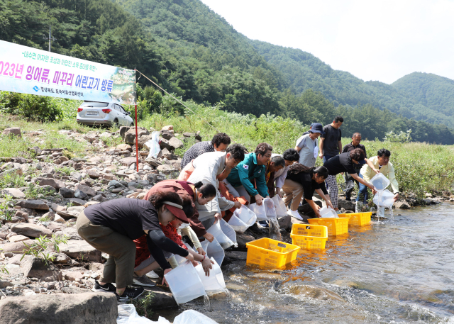 박홍열 경북도의원과 박준로 영양부군수 등 관계자들이 23일 영양군 상원리 반변천 일대에서 토속어종 치어를 방류하고 있다. 영양군 제공
