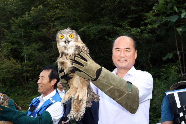 강영석 상주시장이 지난 23일 재활치료로 건강을 회복한 수리부엉이를 직접 자연속으로 날려보내고 있다. 상주시 제공