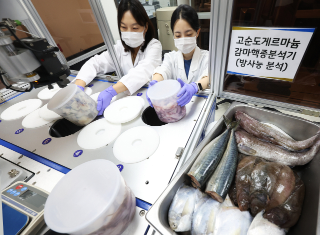 일본 후쿠시마 제1원자력발전소 오염수의 해양 방류가 시작된 24일 오후 경기도 수원시 권선구 경기도보건환경연구원에서 농수산물검사부 농수산물안전성검사팀 연구원들이 수산물 방사능 안전성 검사를 하고 있다. 연합뉴스
