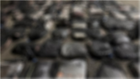 [영상] 잔인한 밍크고래 불법 포획 실태…