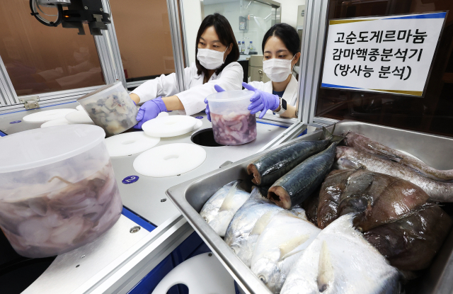 일본 후쿠시마 제1원자력발전소 오염수의 해양 방류가 시작된 24일 오후 경기도 수원시 권선구 경기도보건환경연구원에서 농수산물검사부 농수산물안전성검사팀 연구원들이 수산물 방사능 안전성 검사를 하고 있다. 연합뉴스