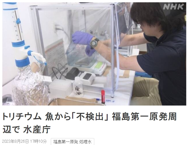 일본 NHK 홈페이지본