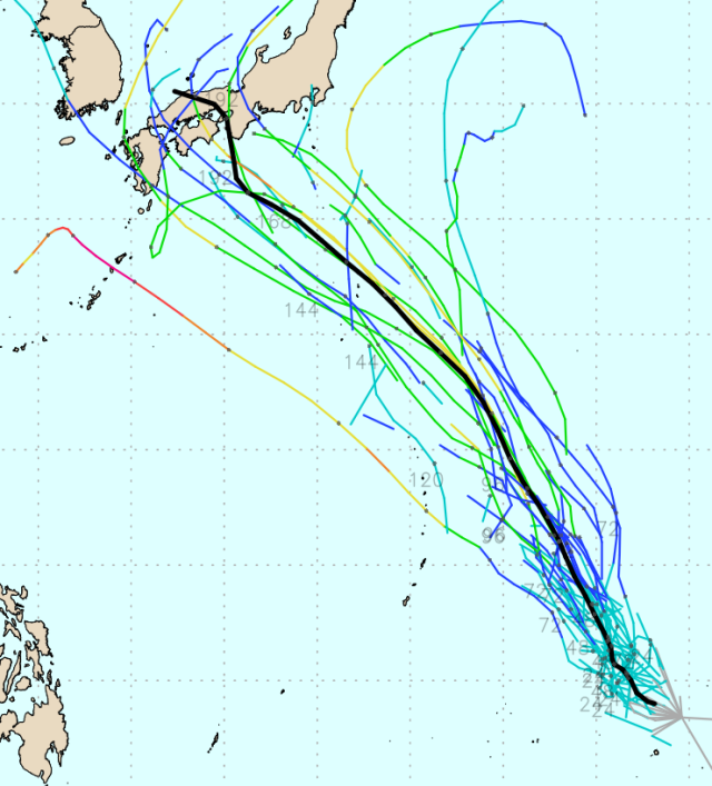 유럽중기예보센터(ECMWF) Ensemble(앙상블) 모델 12호 태풍 기러기로 발달할 전망인 94W 열대요란 예상경로