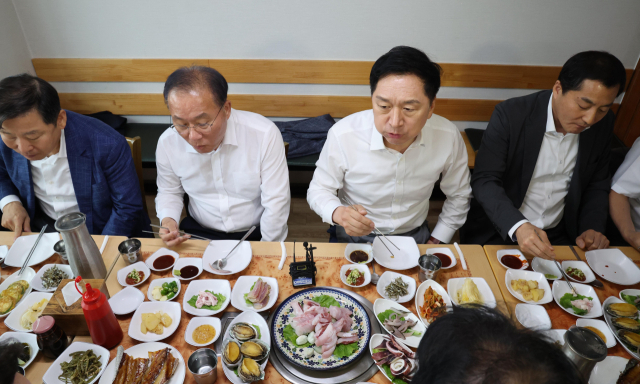 국민의힘 김기현 대표, 윤재옥 원내대표 등 지도부가 29일 인천 중구의 한 횟집에서 오찬으로 민어회를 먹고 있다. 연합뉴스