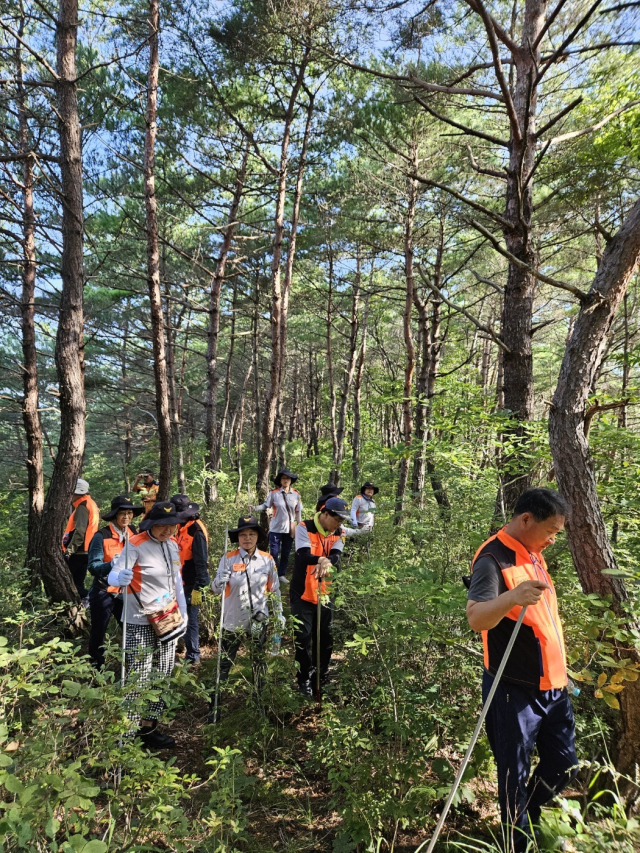 지난달 26일 경북 영양군 영양읍에서 실종된 A(88) 씨를 찾고자 소방 당국 관계자들이 수색작업을 벌이고 있다. 안동소방서 제공