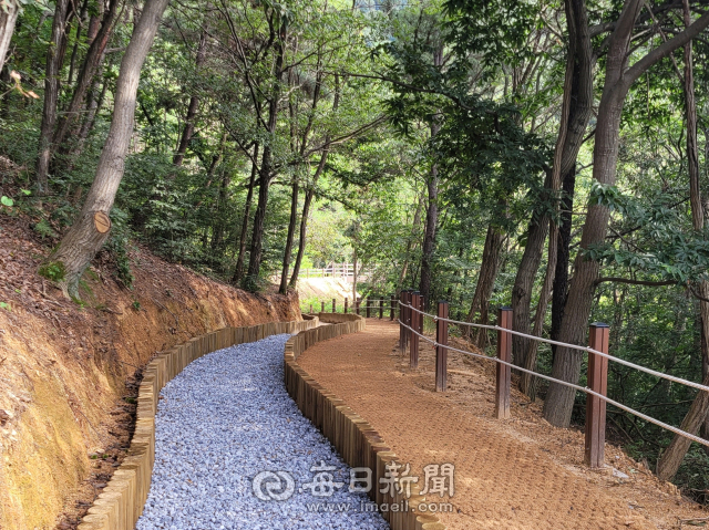 경산시가 내년 3월 경산 치유의 숲 개원을 앞두고 9월 5일부터 내년 2월까지 시범 운영을 한다. 사진은 오감숲길 모습, 경산시 제공