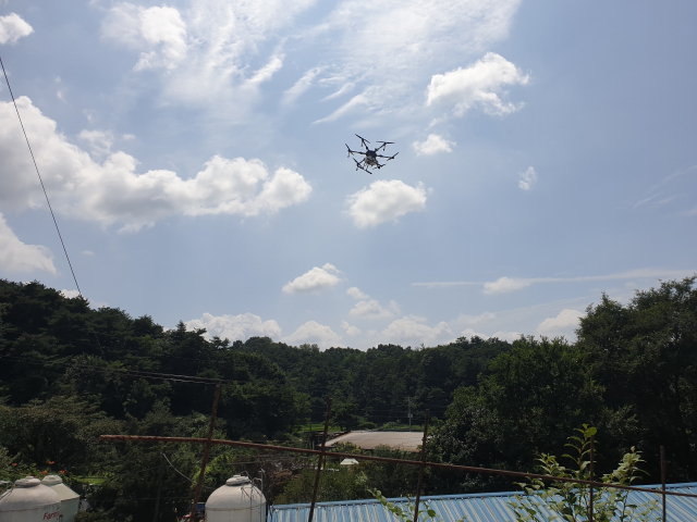 매일신문 DB.