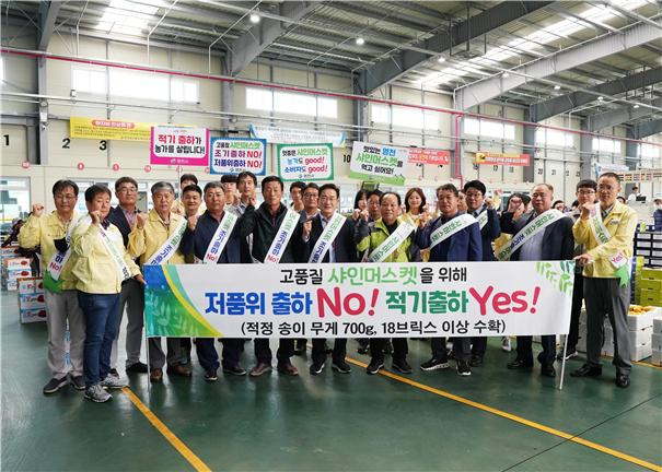영천시 관계공무원과 생산농가, 유통업자 등의 저품위 샤인머스캣 출하 예방을 위한 홍보결의대회 모습. 매일신문DB