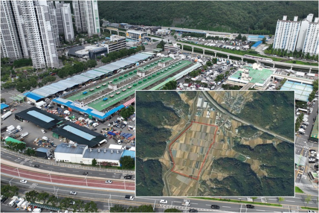 대구 북구 매천동 농수산물도매시장, 일명 매천시장의 이전지로 달성군 하빈면 대평지구로 선정됐다. 매일신문DB