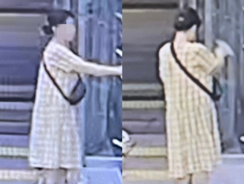 30만원짜리 공연 티켓이 담긴 우편물을 가져간 50대 여성이 경찰에 붙잡혔다. 온라인 커뮤니티 갈무리