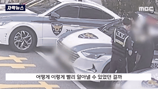 MBC 보도화면 캡쳐