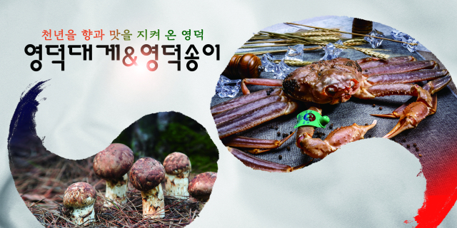 영덕군을 대표하는 특산물인 송이와 대게. 영덕군 제공