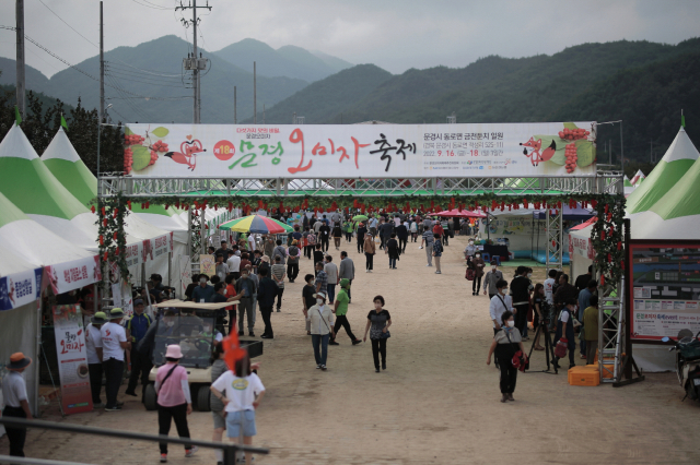 지난해 문경오미자축제 장면. 문경시 제공