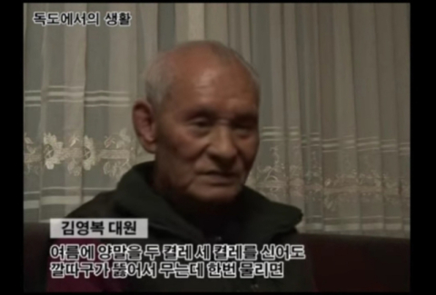 독도경비대 70년간 괴롭힌 곤충은 '신종 모기'